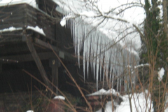 2019_01_13_11